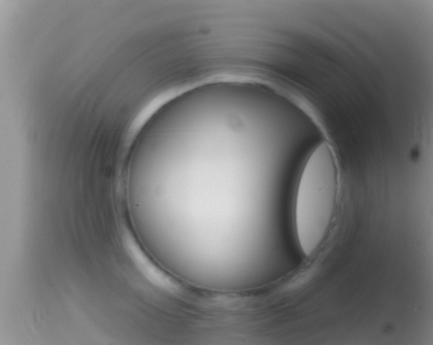 X0000114400803200910161054