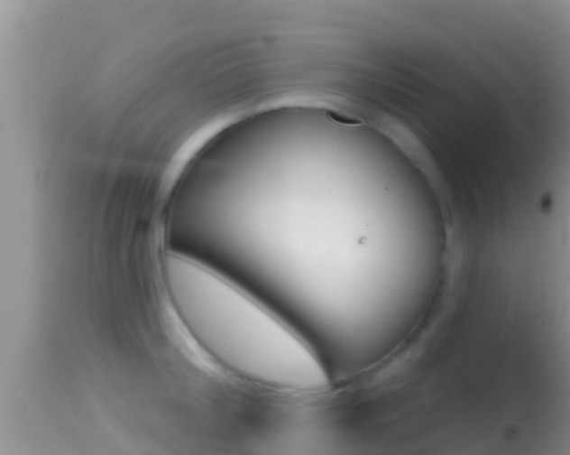 X0000114400804200910161054
