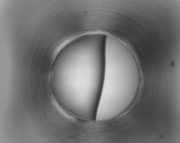 X0000114400805200910161054