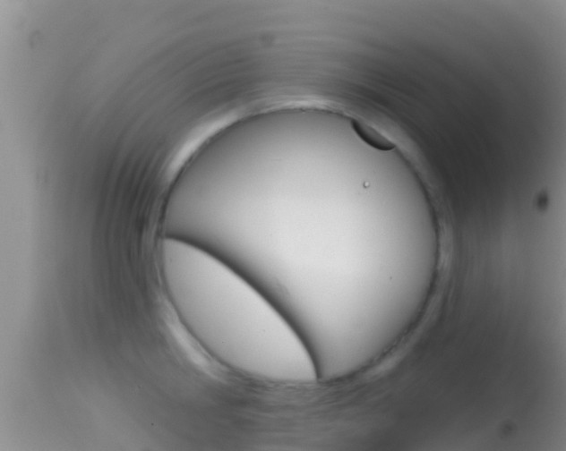 X0000114400806200910161054