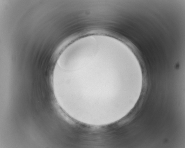 X0000114400807200910161054