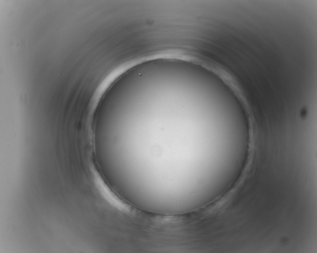 X0000114400808200910161054