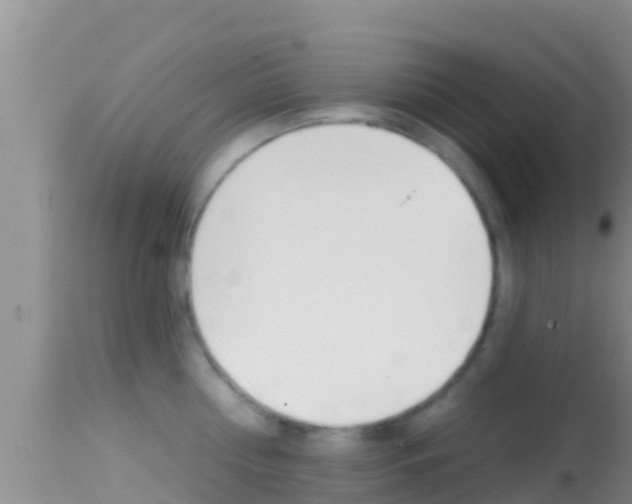 X0000114400810200910161054