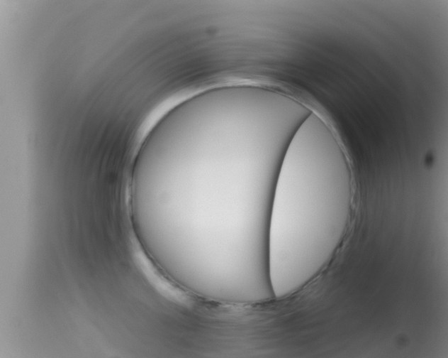 X0000114400811200910161054