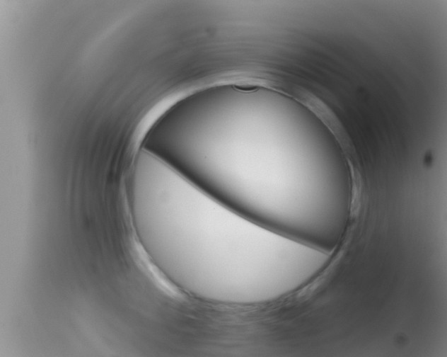X0000114400812200910161054