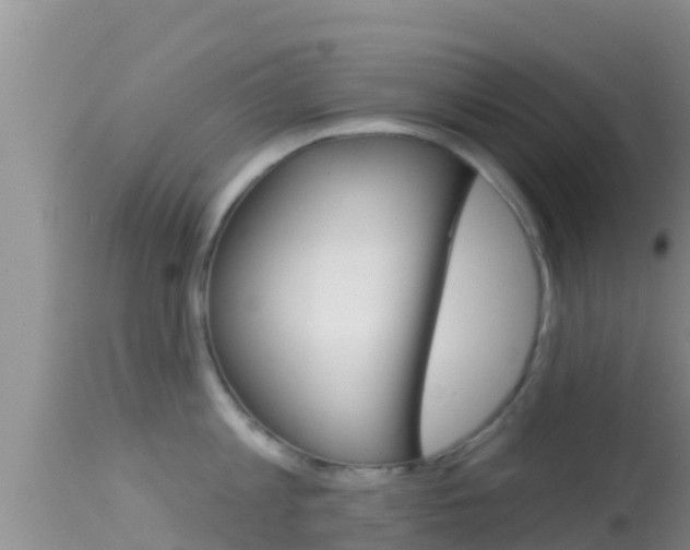 X0000114400813200910161054