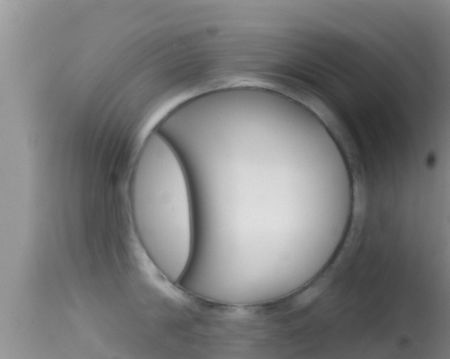 X0000114400814200910161054