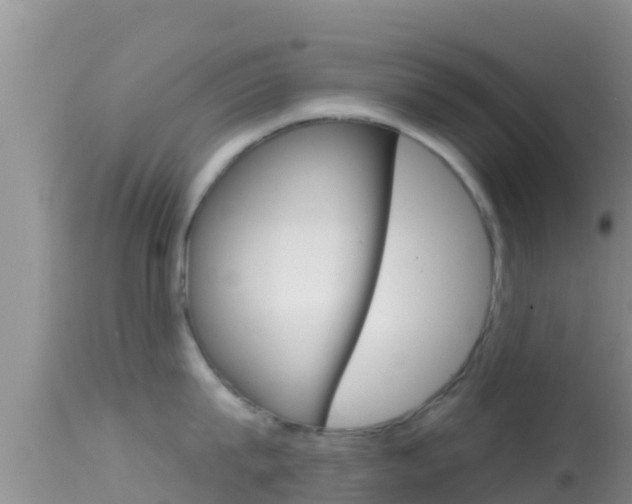 X0000114400815200910161054