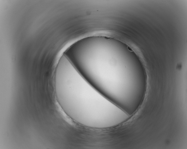 X0000114400816200910161054