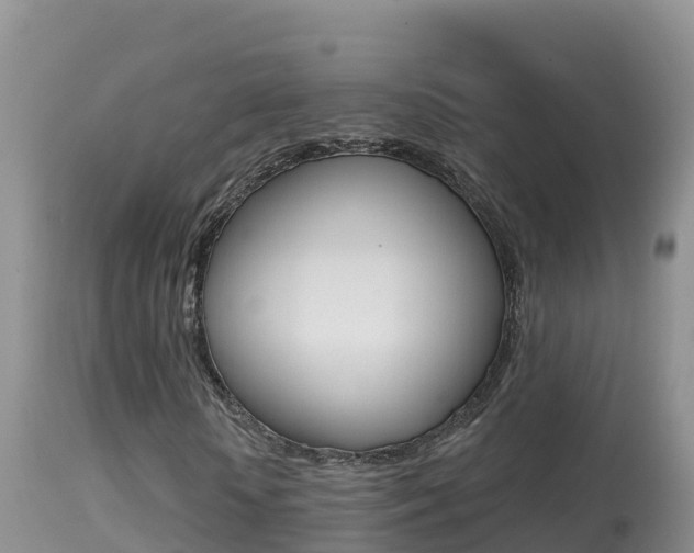X0000114400818200910161053