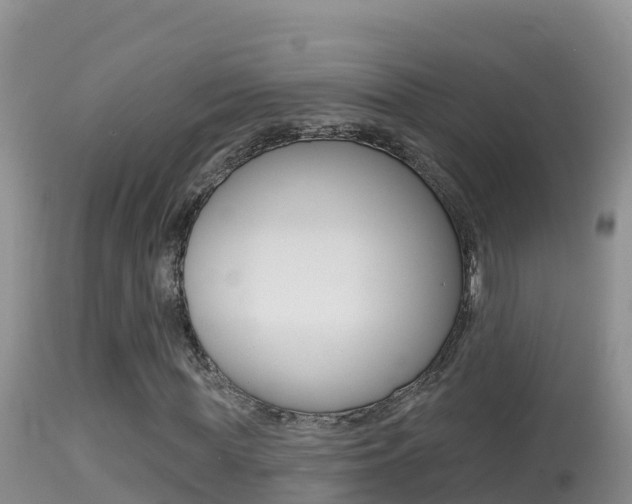 X0000114400819200910161054