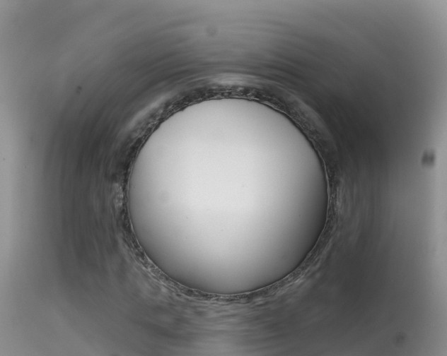 X0000114400821200910161054