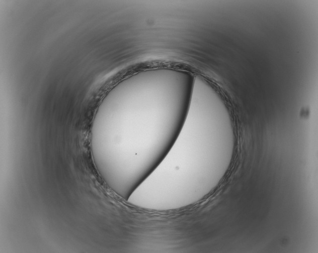 X0000114400822200910161054