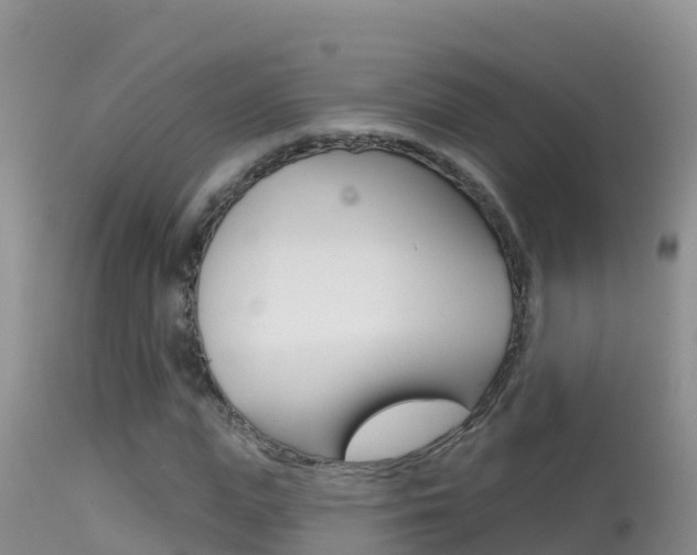 X0000114400823200910161054