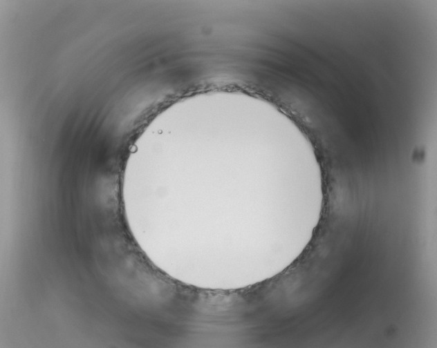 X0000114400824200910161054