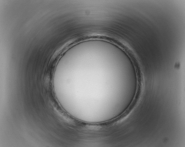 X0000114400825200910161054