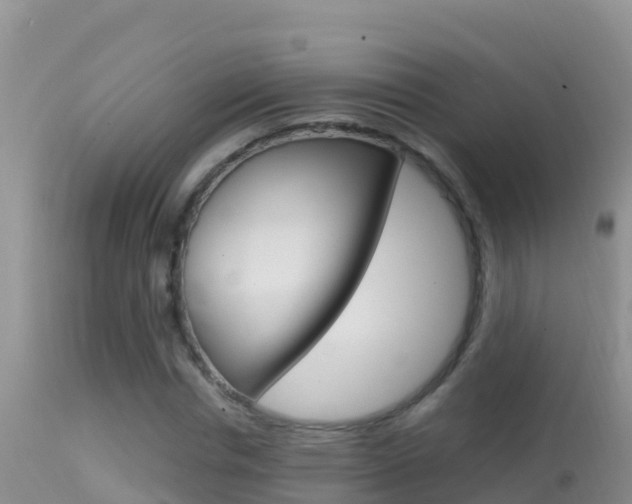 X0000114400826200910161054