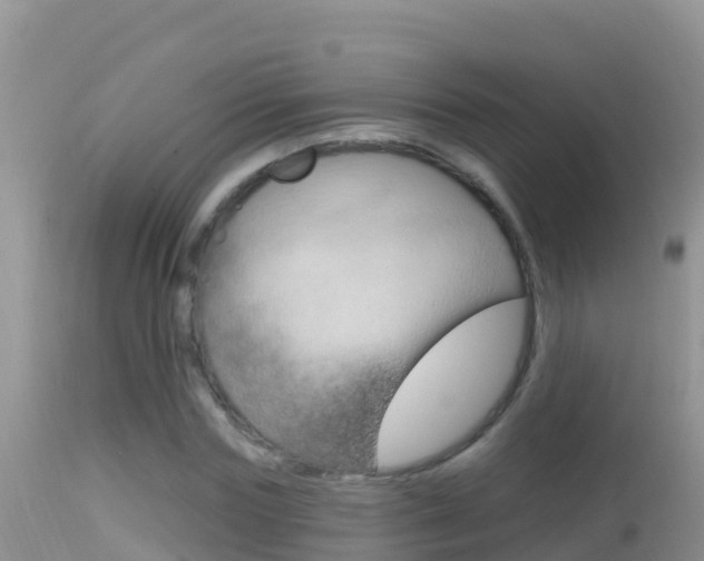 X0000114400827200910161054