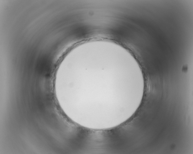 X0000114400828200910161054