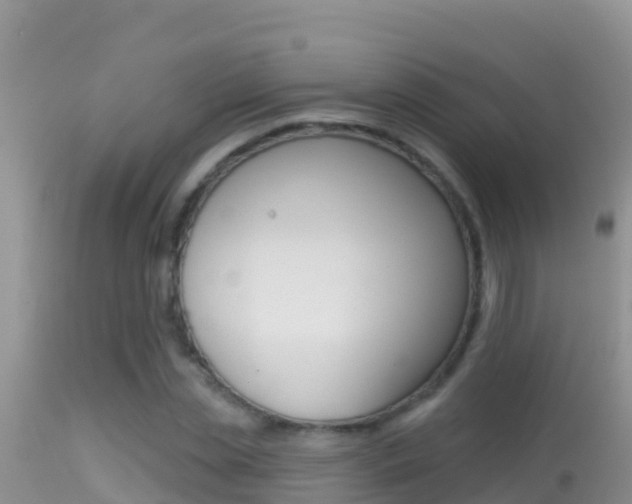 X0000114400829200910161054