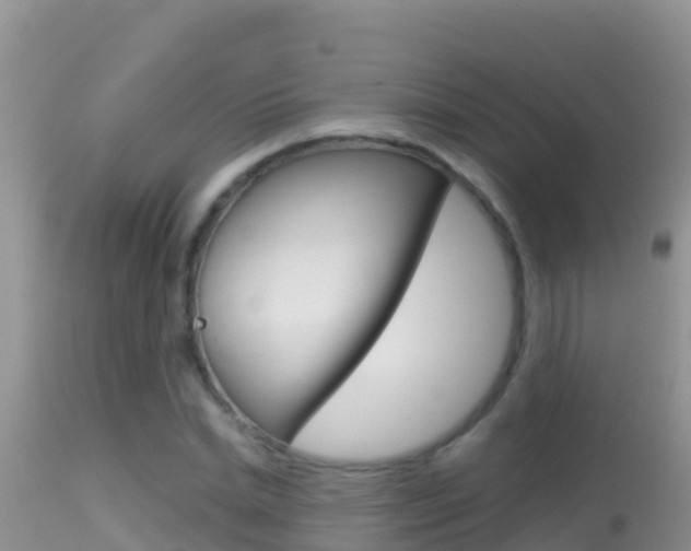 X0000114400830200910161054