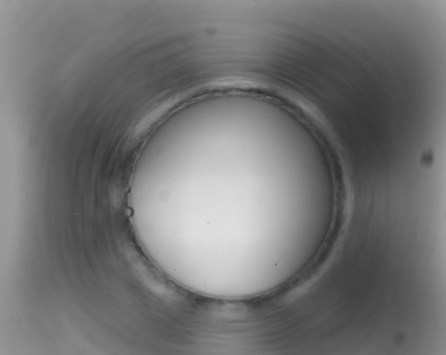 X0000114400833200910161054