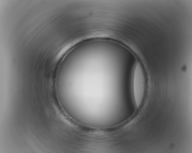 X0000114400834200910161054