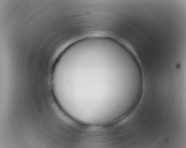 X0000114400835200910161054