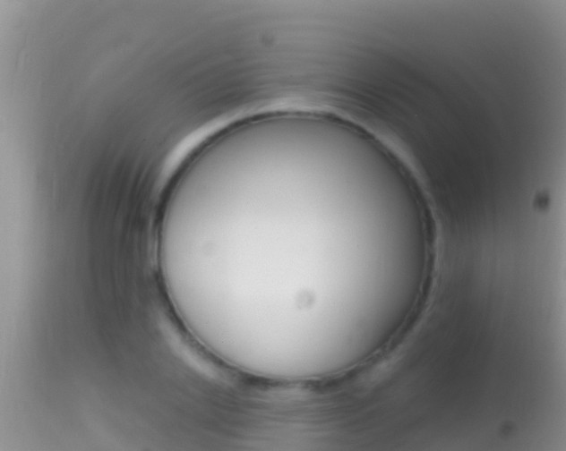 X0000114400838200910161054