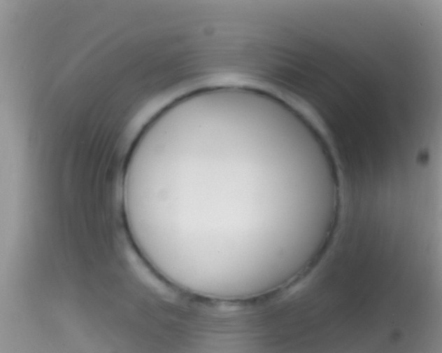 X0000114400839200910161054