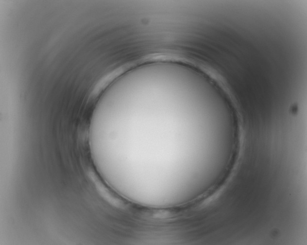 X0000114400841200910161054