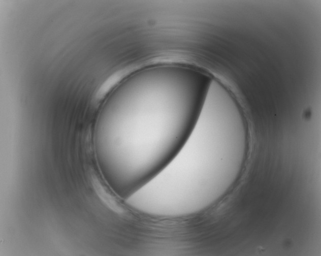 X0000114400842200910161054