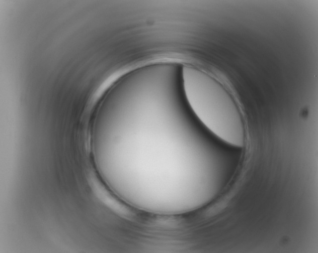 X0000114400843200910161054