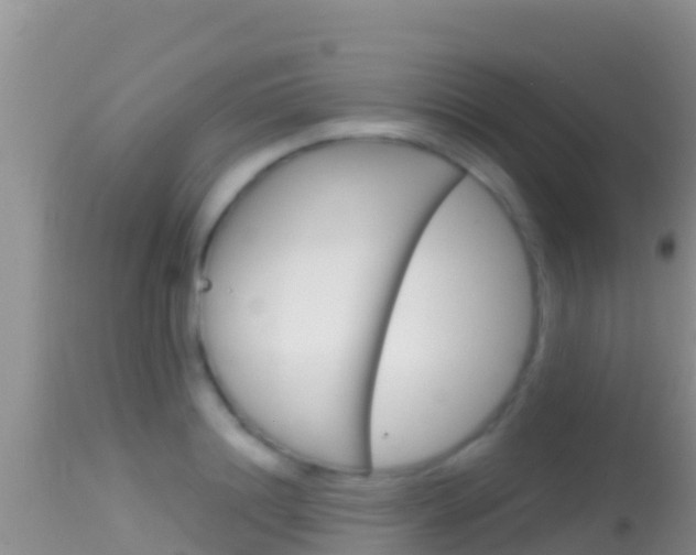 X0000114400844200910161054