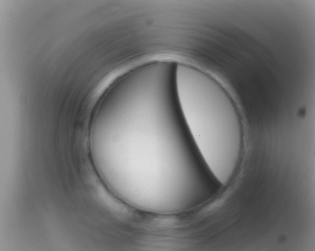 X0000114400845200910161054