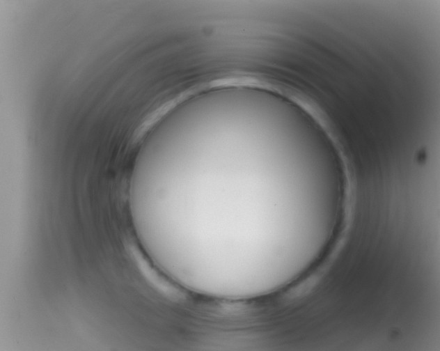 X0000114400849200910161054