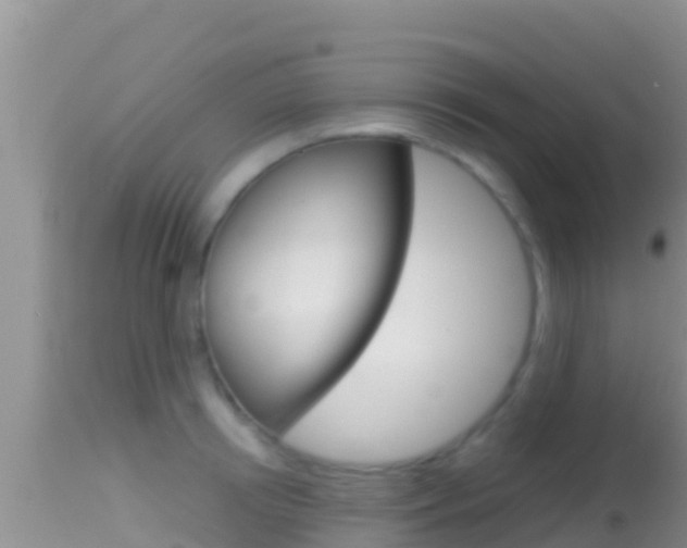 X0000114400850200910161054