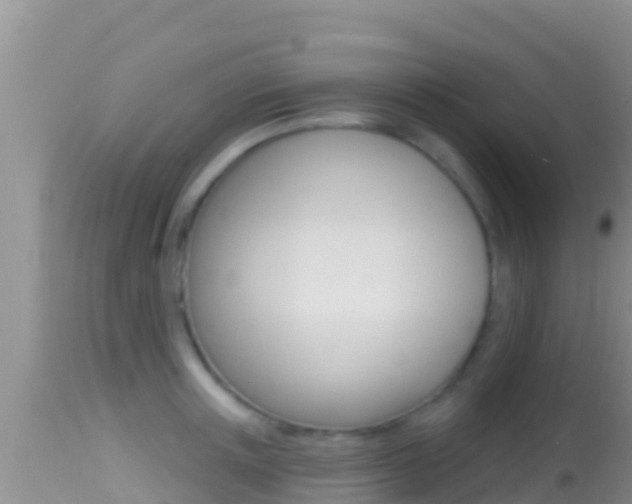 X0000114400851200910161054