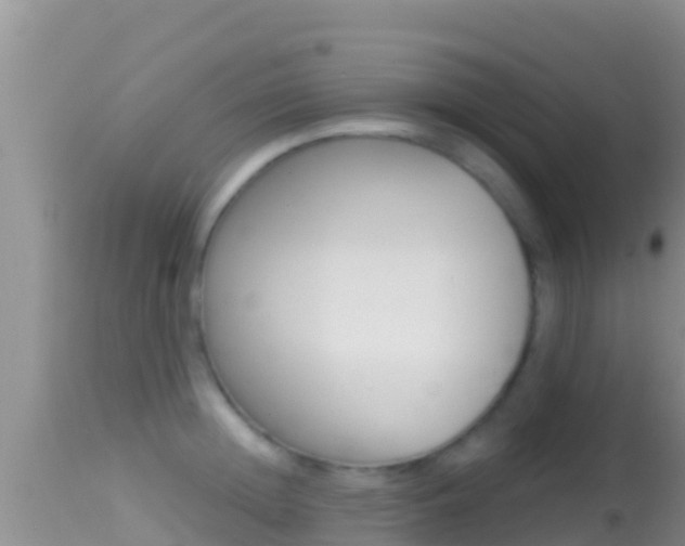X0000114400852200910161054