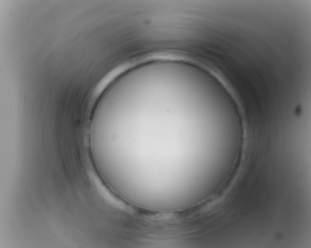 X0000114400853200910161054