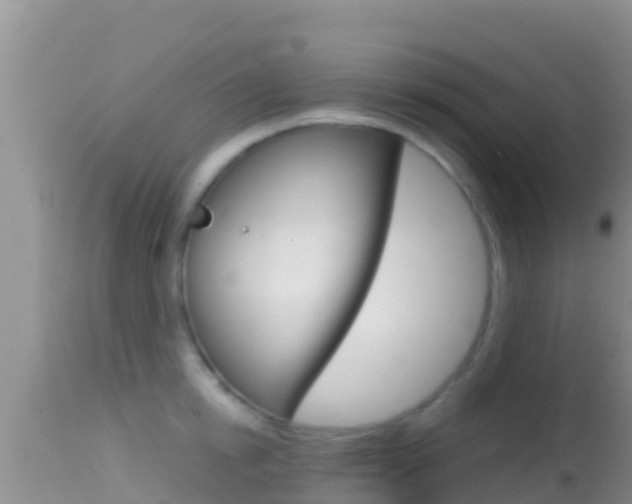 X0000114400854200910161054