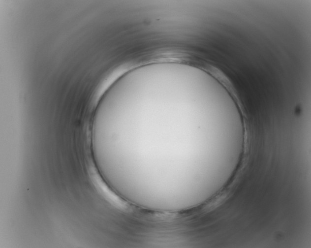X0000114400859200910161054