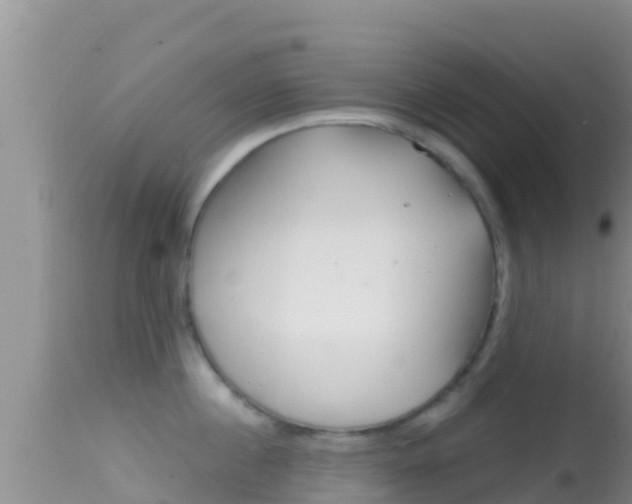 X0000114400860200910161054