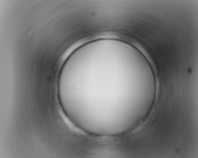 X0000114400861200910161054