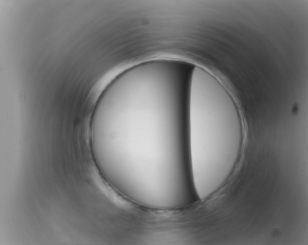 X0000114400862200910161054