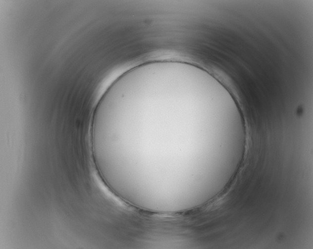 X0000114400863200910161054