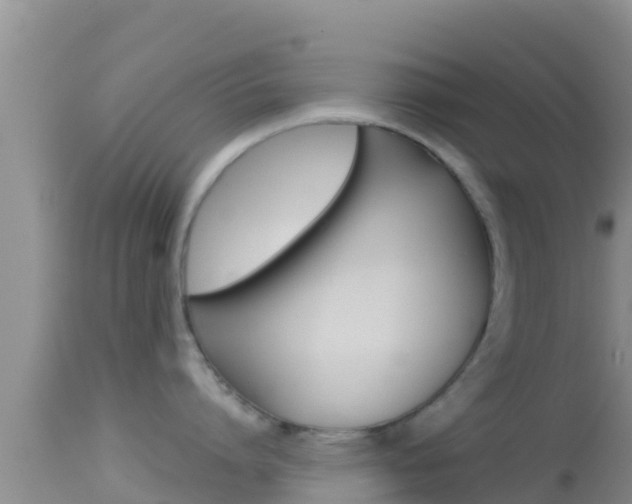 X0000114400864200910161054