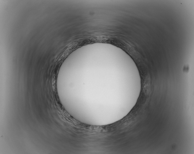 X0000114400866200910161053