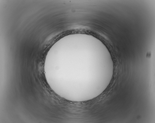X0000114400869200910161053