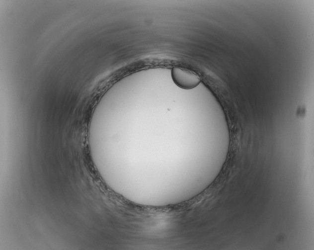 X0000114400870200910161053